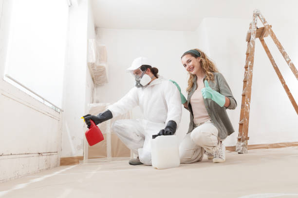 Best Mold Remediation for Rental Properties  in Lockland, OH